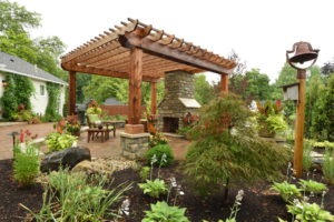 native plants