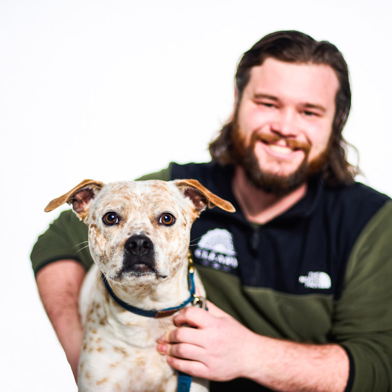 Joe Hamlett Dog